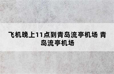 飞机晚上11点到青岛流亭机场 青岛流亭机场